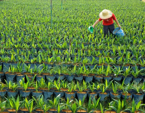 nursery worker