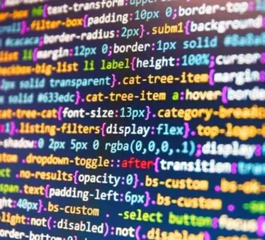 senior programmer