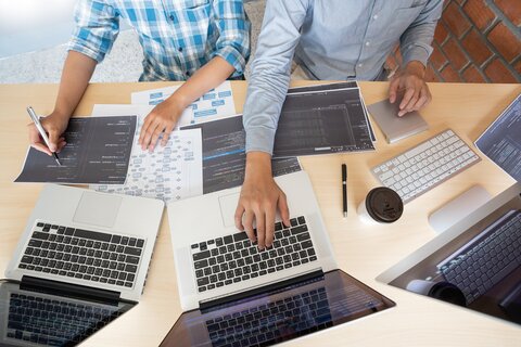 .net developer