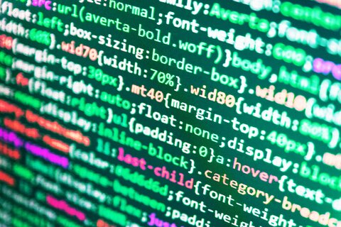 algorithm developer