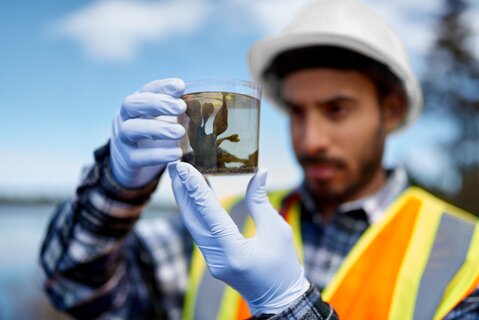 environmental analyst