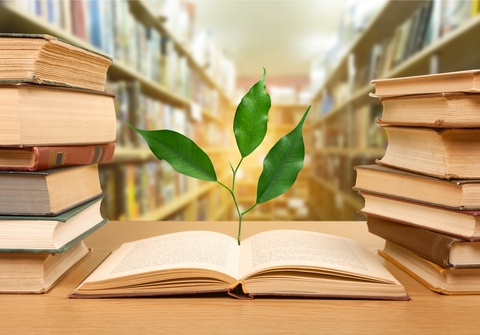 environmental educator