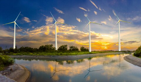 environmental planner