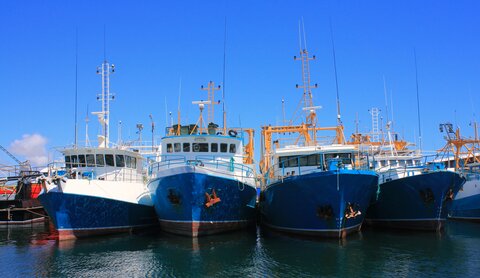 fishing supervisor