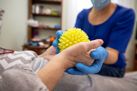 senior physical therapist