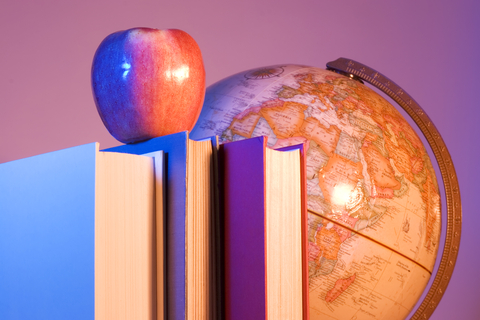 social studies teacher