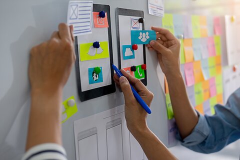 user experience (ux) designer