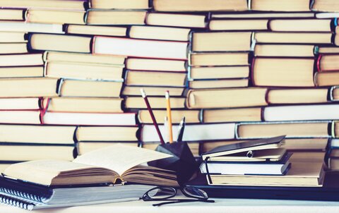 vice president education