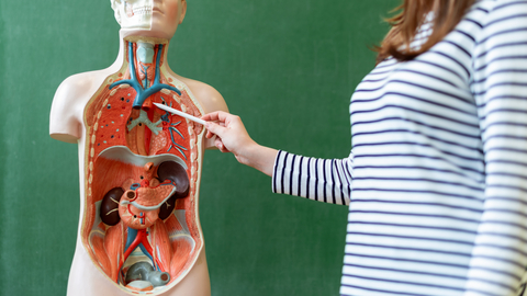 biology teacher